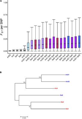 Patterns of gene expression in ovaries of sexual vs. asexual lineages of a freshwater snail